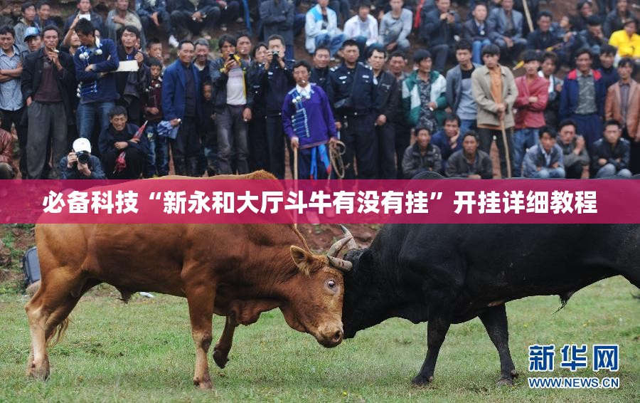 必备科技“新永和大厅斗牛有没有挂”开挂详细教程