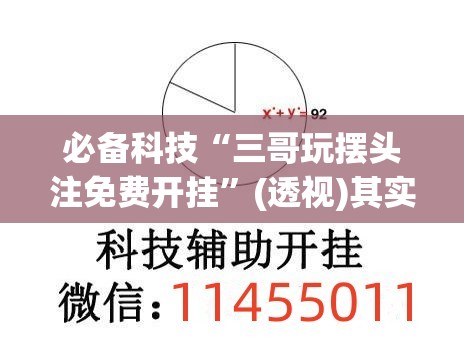 必备科技“三哥玩摆头注免费开挂	”(透视)其实确实有挂