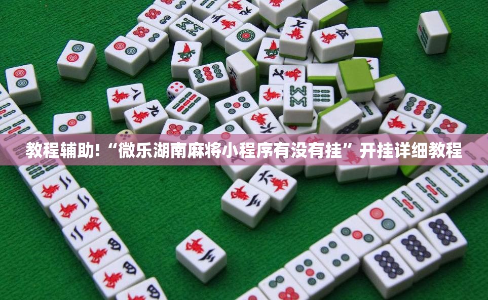 教程辅助!“微乐湖南麻将小程序有没有挂”开挂详细教程