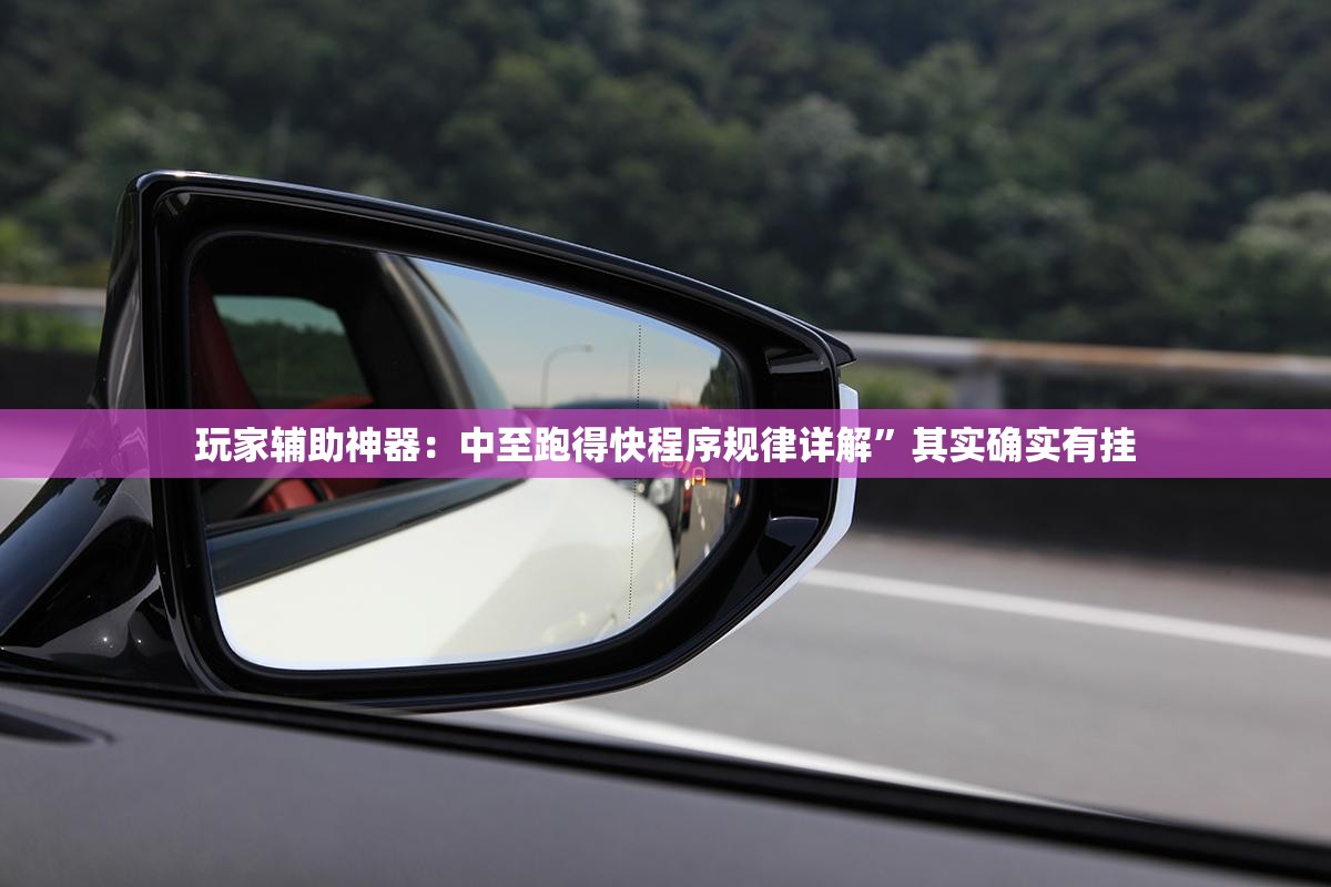 玩家辅助神器：中至跑得快程序规律详解	”其实确实有挂