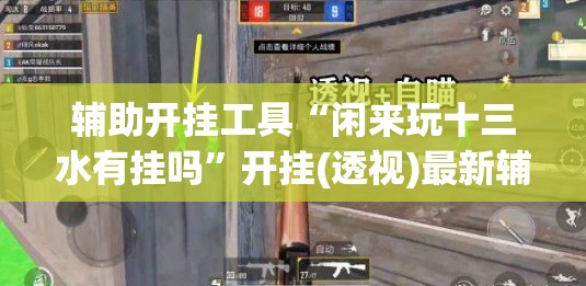 辅助开挂工具“闲来玩十三水有挂吗”开挂(透视)最新辅助详细