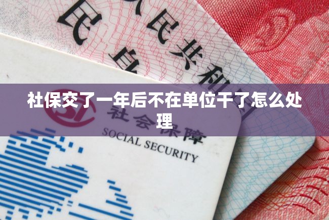 社保交了一年后不在单位干了怎么处理 社保交了一年后不在单位干了怎么处理