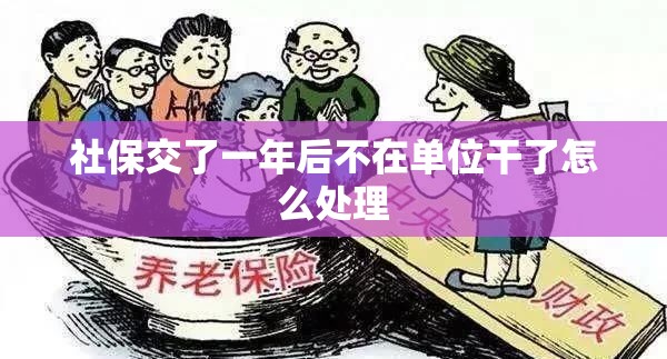社保交了一年后不在单位干了怎么处理 社保交了一年后不在单位干了怎么处理