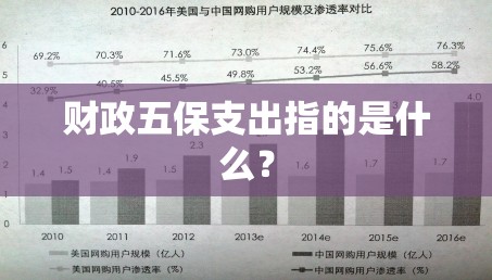 财政五保支出指的是什么? 财政五保支出指的是什么?