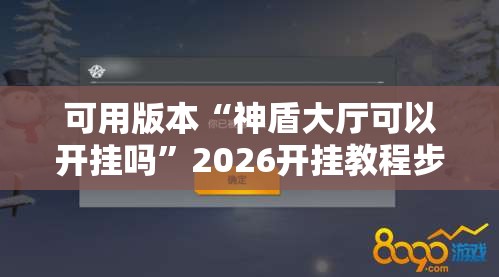 可用版本“神盾大厅可以开挂吗”2026开挂教程步骤
