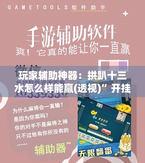 玩家辅助神器：拱趴十三水怎么样能赢(透视)”开挂辅助脚本+详细开挂安装教程