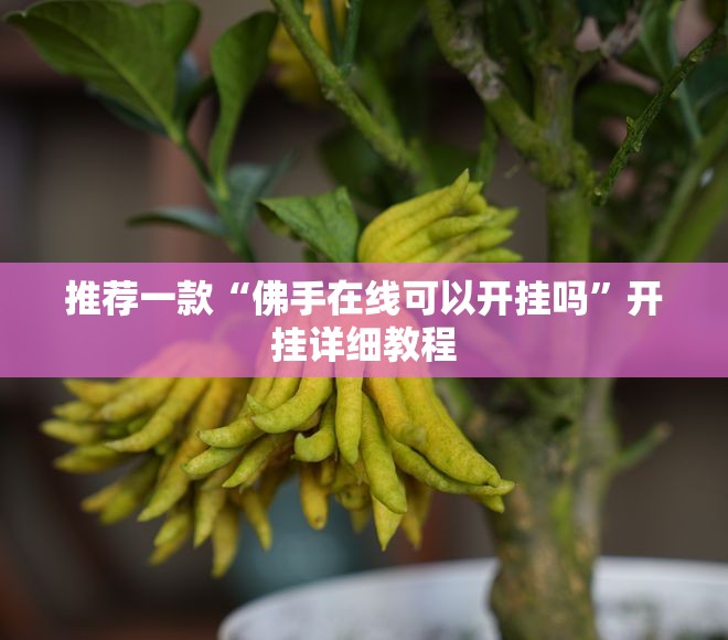 推荐一款“佛手在线可以开挂吗	”开挂详细教程