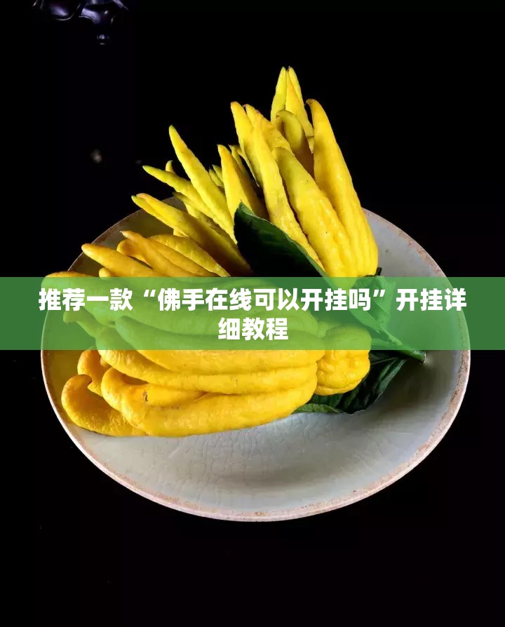 推荐一款“佛手在线可以开挂吗”开挂详细教程