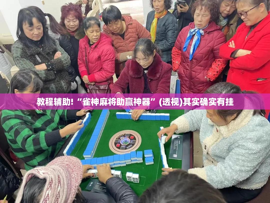 教程辅助!“雀神麻将助赢神器”(透视)其实确实有挂