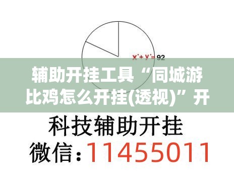 辅助开挂工具“同城游比鸡怎么开挂(透视)”开挂辅助脚本+详细开挂安装教程