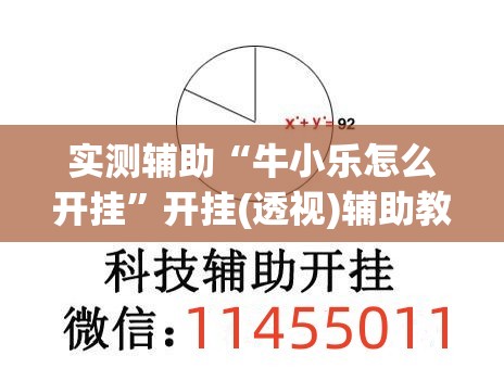 实测辅助“牛小乐怎么开挂	”开挂(透视)辅助教程