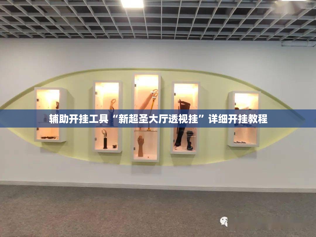 辅助开挂工具“新超圣大厅透视挂”详细开挂教程