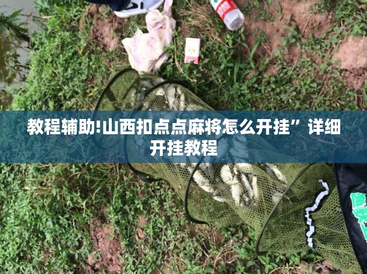 教程辅助!山西扣点点麻将怎么开挂”详细开挂教程