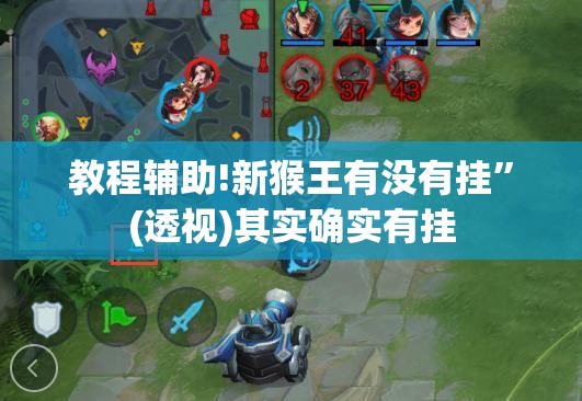 教程辅助!新猴王有没有挂”(透视)其实确实有挂