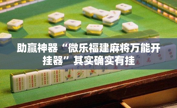 助赢神器“微乐福建麻将万能开挂器”其实确实有挂
