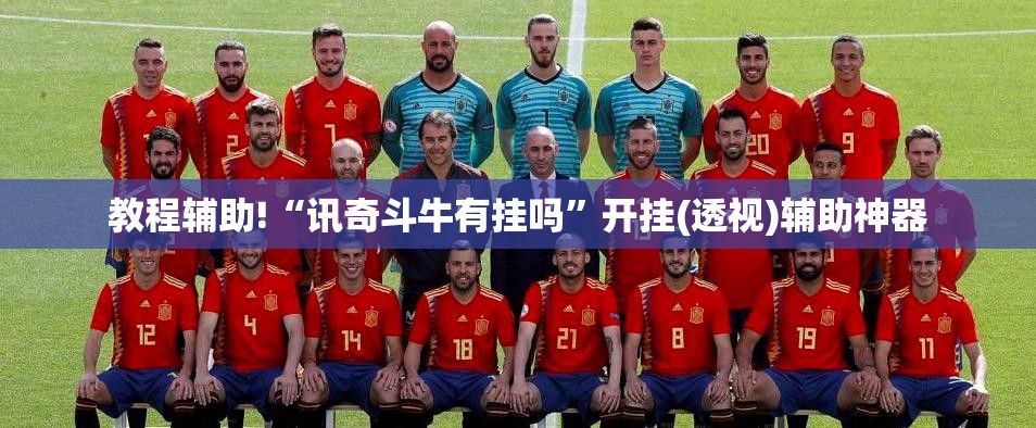 教程辅助!“讯奇斗牛有挂吗	”开挂(透视)辅助神器