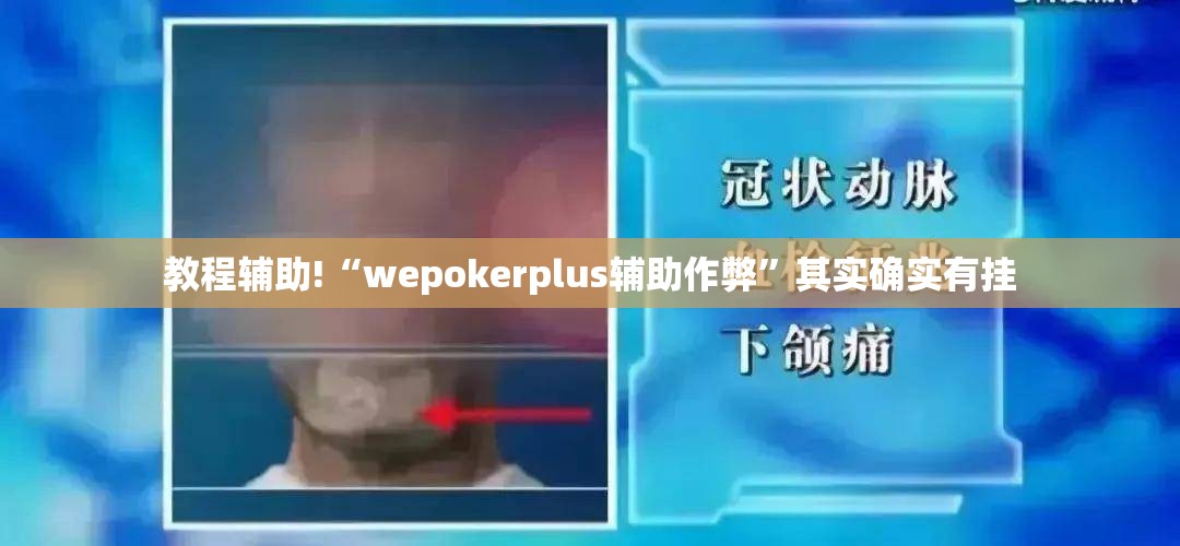 教程辅助!“wepokerplus辅助作弊	”其实确实有挂
