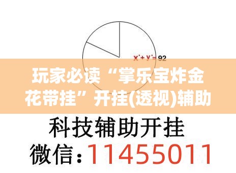 玩家必读“掌乐宝炸金花带挂”开挂(透视)辅助神器