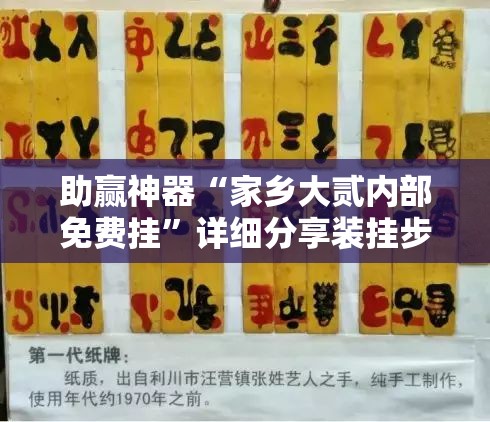 助赢神器“家乡大贰内部免费挂	”详细分享装挂步骤