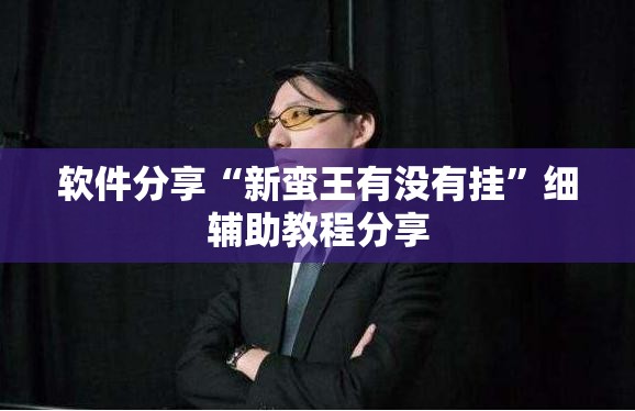 软件分享“新蛮王有没有挂”细辅助教程分享