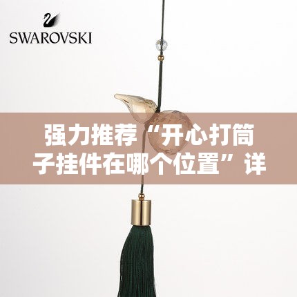 强力推荐“开心打筒子挂件在哪个位置”详细开挂教程