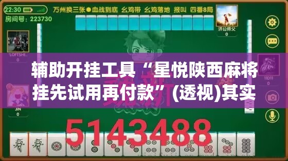 辅助开挂工具“星悦陕西麻将挂先试用再付款”(透视)其实确实有挂