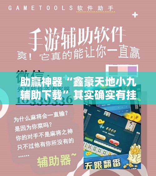 助赢神器“鑫豪天地小九辅助下载	”其实确实有挂