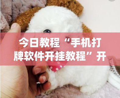 今日教程“手机打牌软件开挂教程	”开挂(透视)最新辅助详细