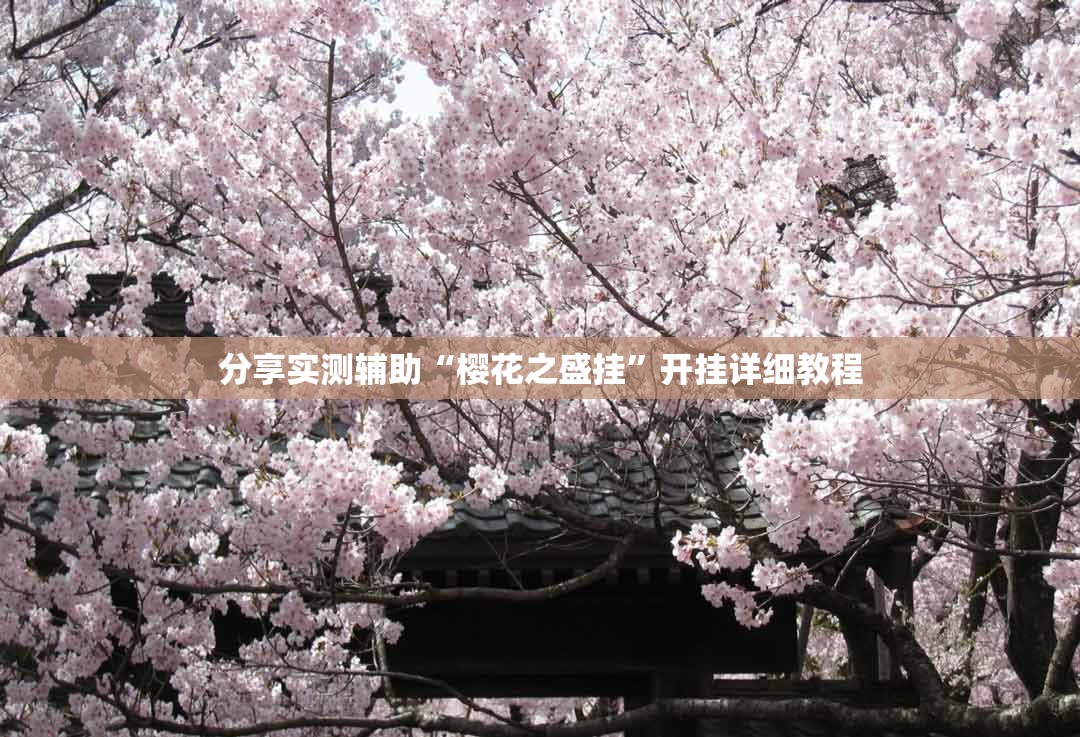 分享实测辅助“樱花之盛挂”开挂详细教程