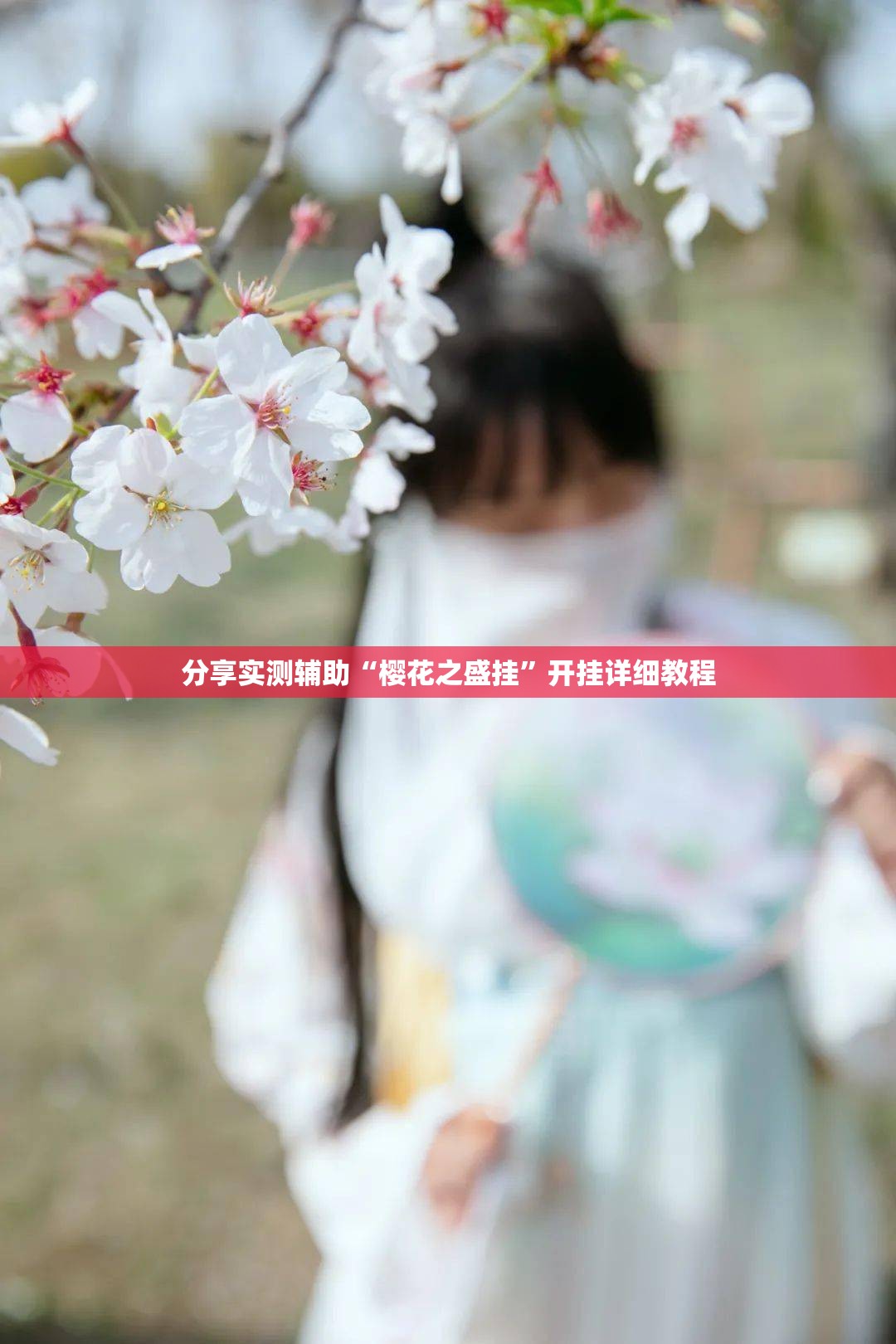 分享实测辅助“樱花之盛挂”开挂详细教程