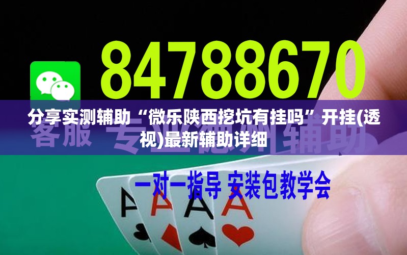 分享实测辅助“微乐陕西挖坑有挂吗”开挂(透视)最新辅助详细