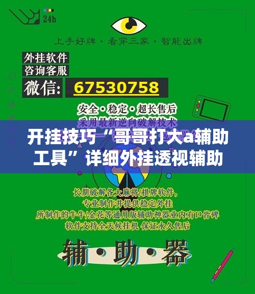 开挂技巧“哥哥打大a辅助工具”详细外挂透视辅助软件教程