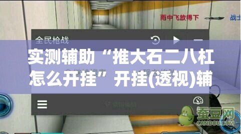 实测辅助“推大石二八杠怎么开挂”开挂(透视)辅助教程