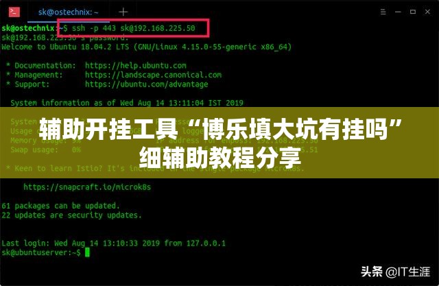 辅助开挂工具“博乐填大坑有挂吗”细辅助教程分享