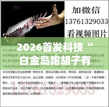 2026首发科技“白金岛跑胡子有挂吗	”(辅助神器)开挂详细教程