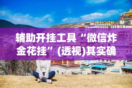 辅助开挂工具“微信炸金花挂”(透视)其实确实有挂