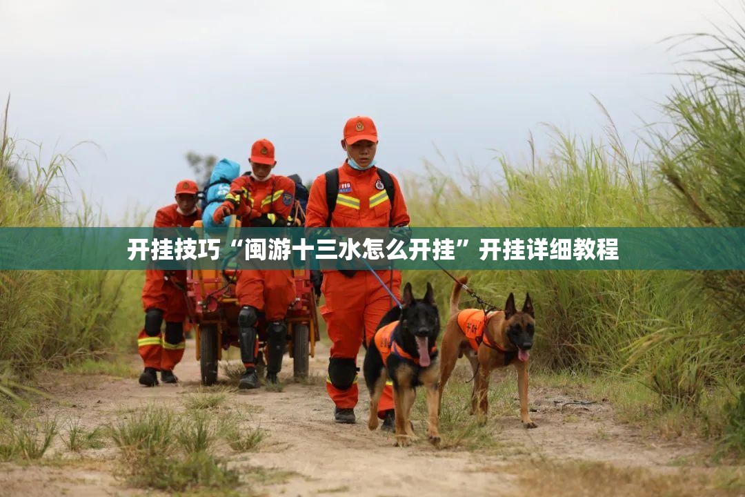 开挂技巧“闽游十三水怎么开挂	”开挂详细教程