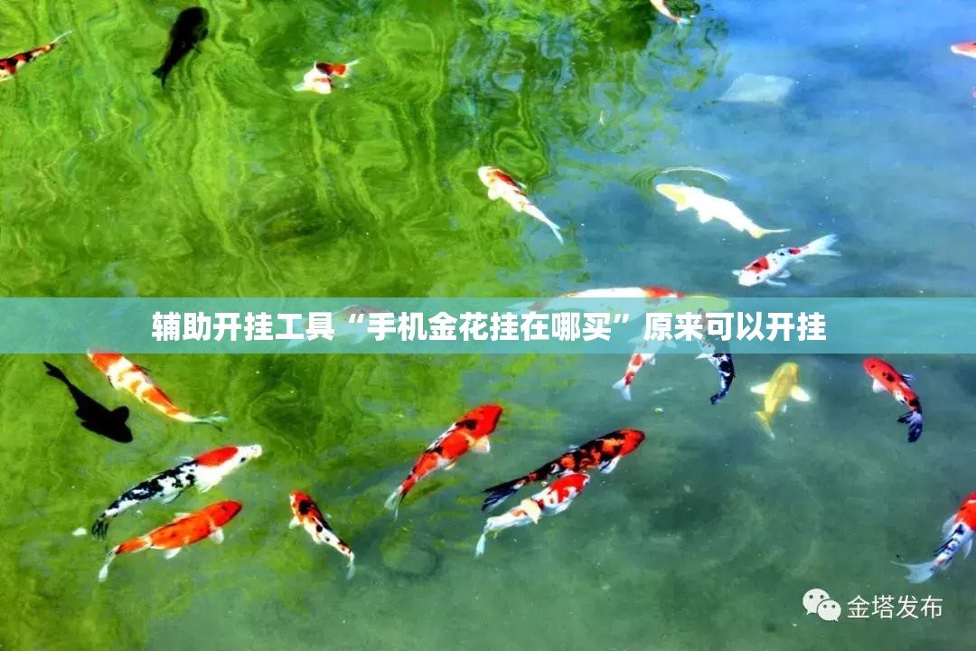 辅助开挂工具“手机金花挂在哪买	”原来可以开挂