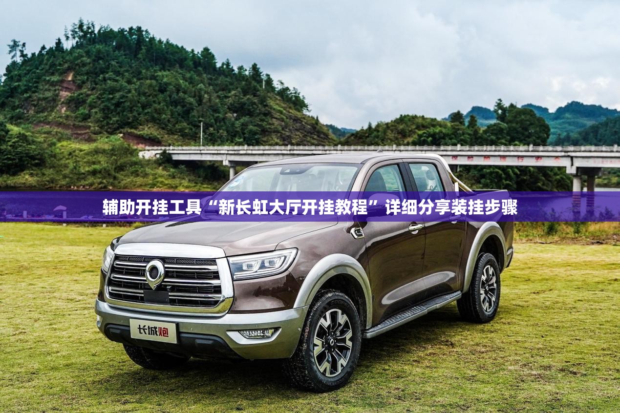 辅助开挂工具“新长虹大厅开挂教程”详细分享装挂步骤