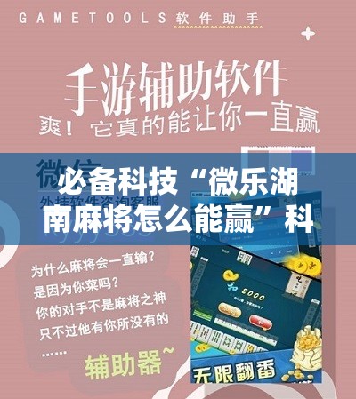 必备科技“微乐湖南麻将怎么能赢”科技辅助神器手机版