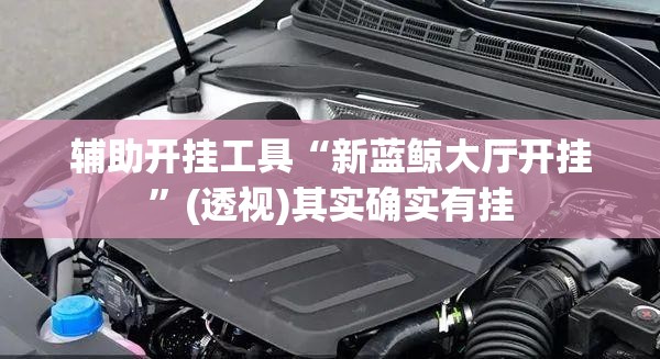 辅助开挂工具“新蓝鲸大厅开挂”(透视)其实确实有挂
