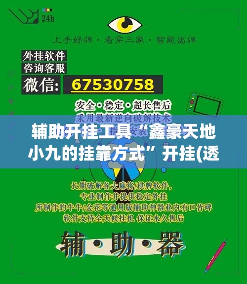 辅助开挂工具“鑫豪天地小九的挂靠方式”开挂(透视)最新辅助详细