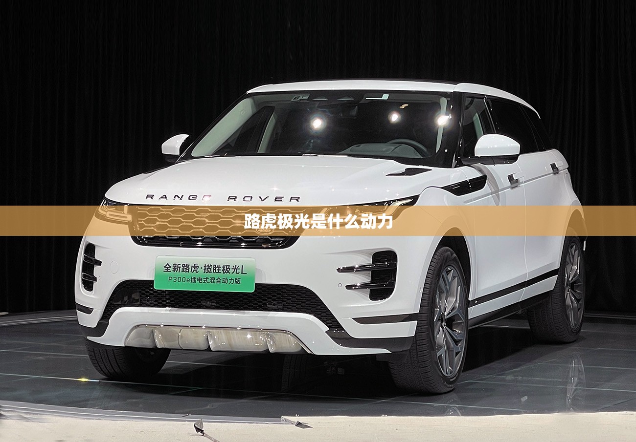 路虎极光是什么动力
