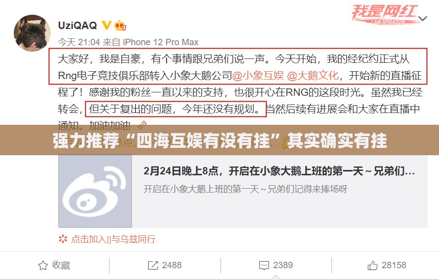 强力推荐“四海互娱有没有挂”其实确实有挂