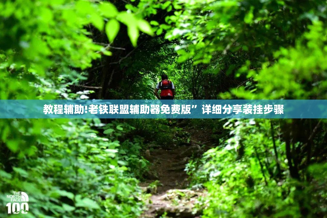 教程辅助!老铁联盟辅助器免费版	”详细分享装挂步骤