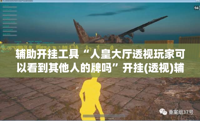 辅助开挂工具“人皇大厅透视玩家可以看到其他人的牌吗”开挂(透视)辅助教程