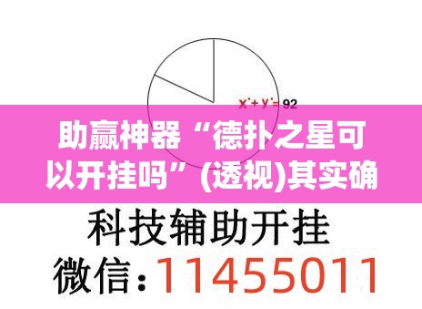 助赢神器“德扑之星可以开挂吗”(透视)其实确实有挂