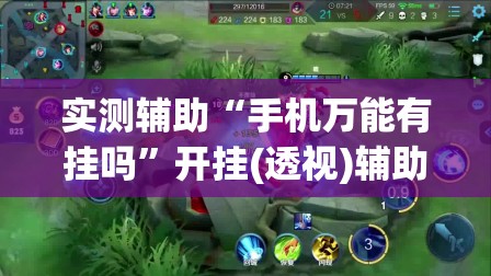 实测辅助“手机万能有挂吗”开挂(透视)辅助神器