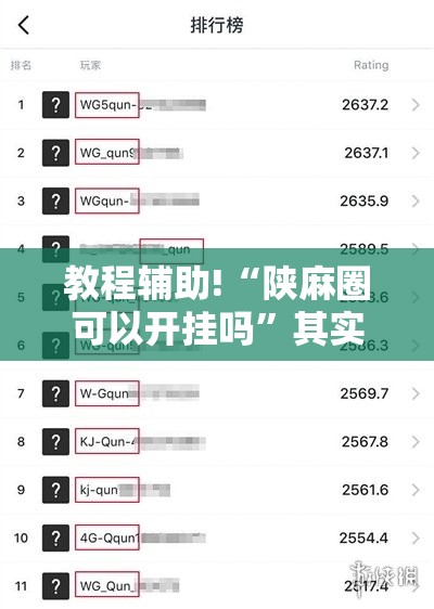 教程辅助!“陕麻圈可以开挂吗”其实确实有挂