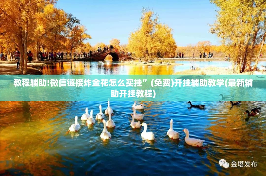 教程辅助!微信链接炸金花怎么买挂”(免费)开挂辅助教学(最新辅助开挂教程)